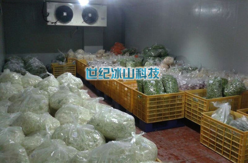 果蔬保鲜冷库