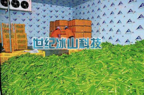果蔬保鲜冷库